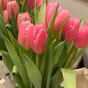 Meet your Posher, Bella